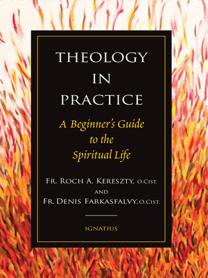 cover image of Theology in Practice